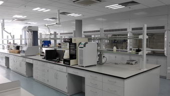 工业净化与实验设备 包头钢木通风柜与全钢实验台厂家的专业指南